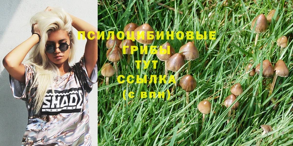 ALPHA PVP Богородск