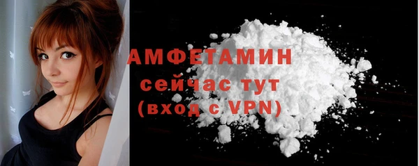 спиды Богданович