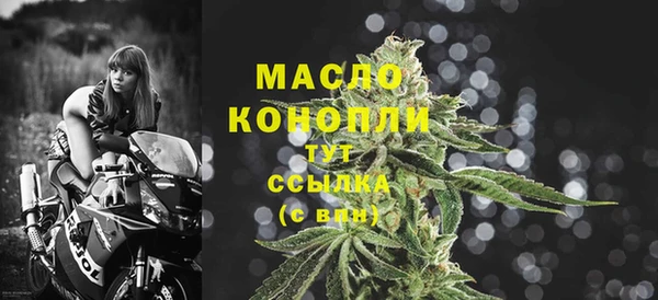 спиды Богданович