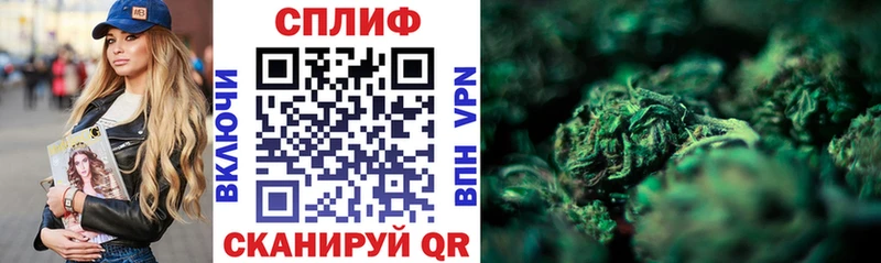 где продают   Пермь  Конопля SATIVA & INDICA 